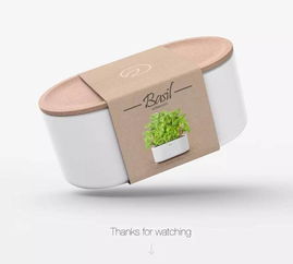 软木艺术 文艺新风尚与文化交融的桥梁