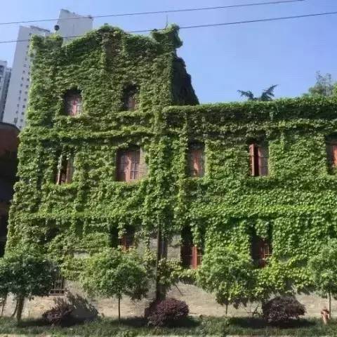 成都这所军工厂，曾经造火药现在搞文艺，耍一天都不得累